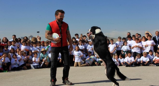 2 bin 184 hayvana yeni yuva