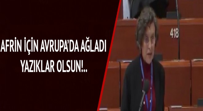 HDP li Filiz Kerestecioğlu, Türkiye yi Avrupa ya şikayet etti