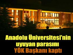 Uyuyan parayı YÖK Başkanı kaptı