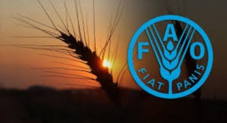Türkiye, 2025-2028 FAO Konsey Üyeliğine Seçildi
